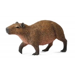 DAM - Figurine de collection - Collecta - Animaux sauvages - Capybara