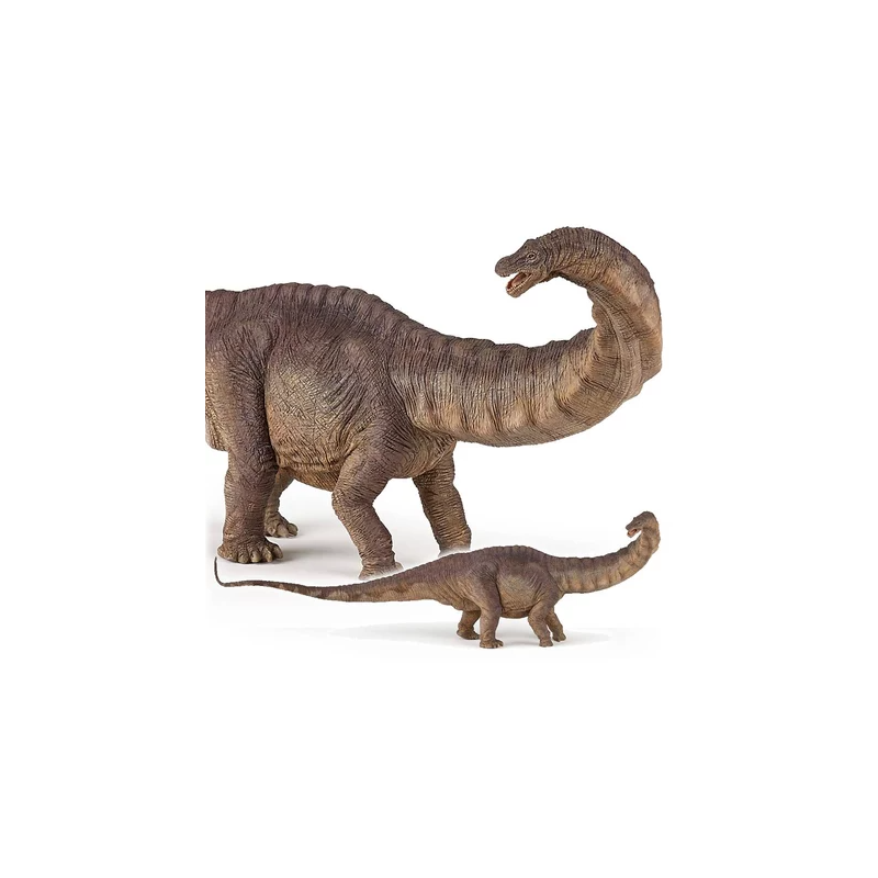 Papo - Figurine - 55039 - Dinosaures - Apatosaure