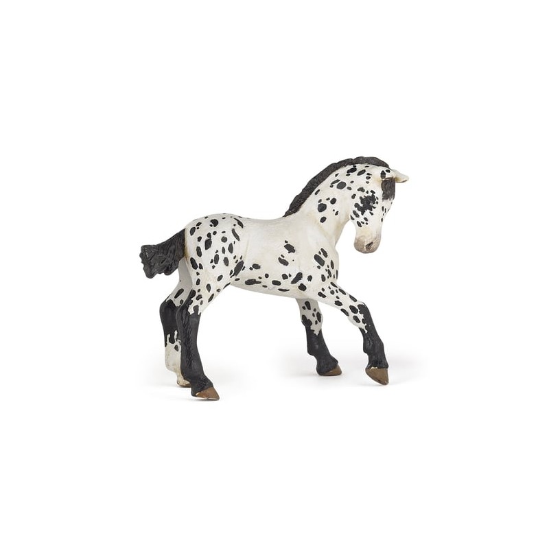 Papo - Figurine - 51540 - Chevaux, poulains et poneys - Poulain appaloosa noir