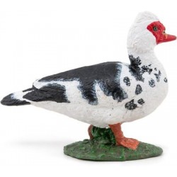 Papo - Figurine - 51189 - La vie à la ferme - Canard de Barbarie