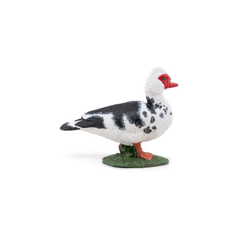 Papo - Figurine - 51189 - La vie à la ferme - Canard de Barbarie