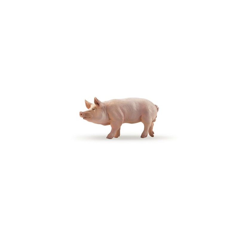 Papo - Figurine - 51044 - La vie à la ferme - Verrat