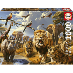 Educa - Puzzle 1000 pièces...