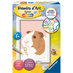 Ravensburger - Numéro d'art...