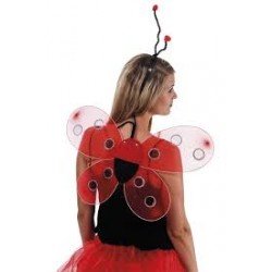 P'tit Clown - Déguisement...