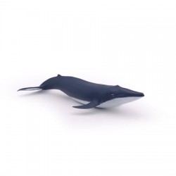 Papo - Figurine - 56041 - Univers marin - Bébé baleine bleue