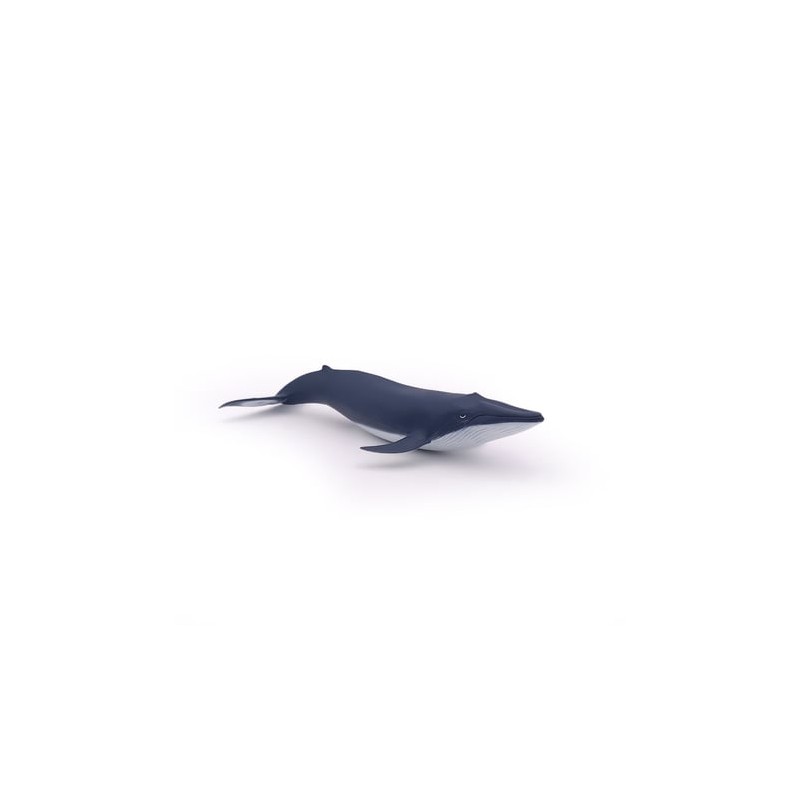 Papo - Figurine - 56041 - Univers marin - Bébé baleine bleue