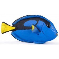 Papo - Figurine - 56024 - Univers marin - Poisson chirurgien