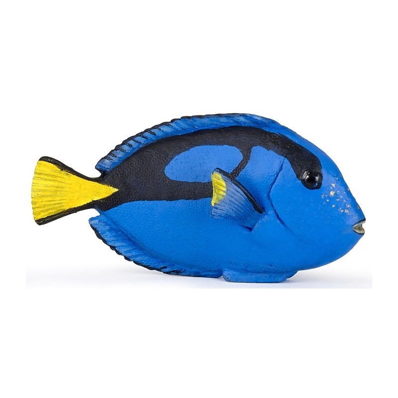 Papo - Figurine - 56024 - Univers marin - Poisson chirurgien