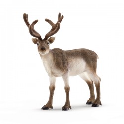 Schleich - 14837 - Wild...