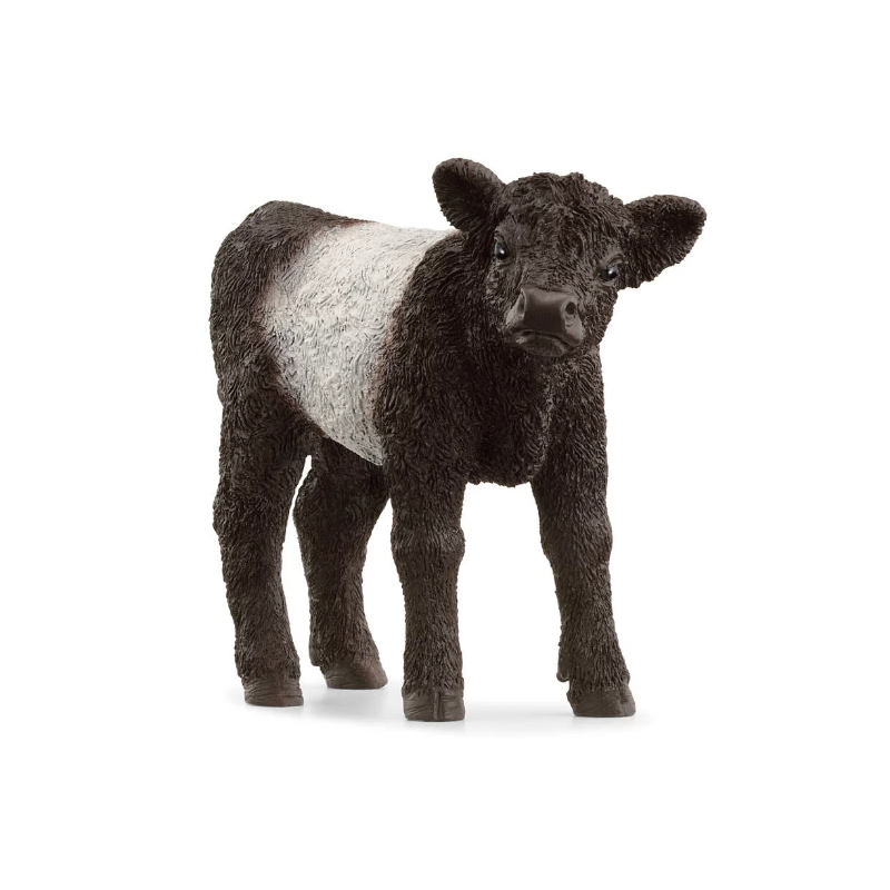 Schleich - 13969 - Farm World - Veau Galloway
