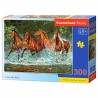 Castorland - Puzzle 300 pièces - Course dans la cascade