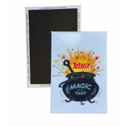 Aimant magnet décoratif -...