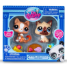 Bandai - Littlest pet shop - Duo pets surprise - Modèle aléatoire