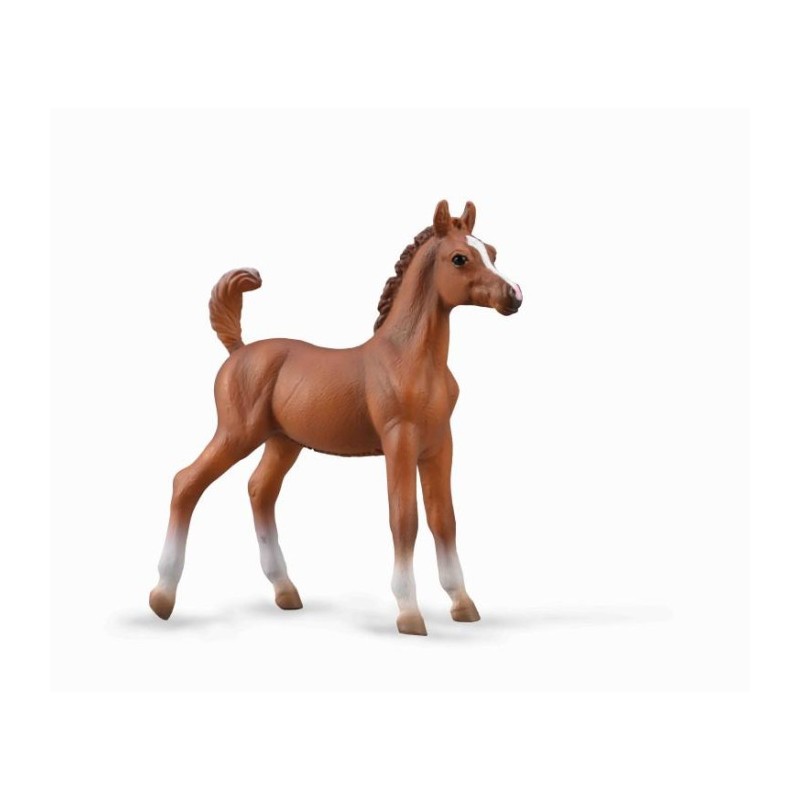 Collecta - Figurine de collection - Poulain arabe