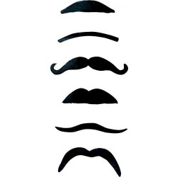 Déguisement - Blister de 6 fausses moustaches assorties - Noir