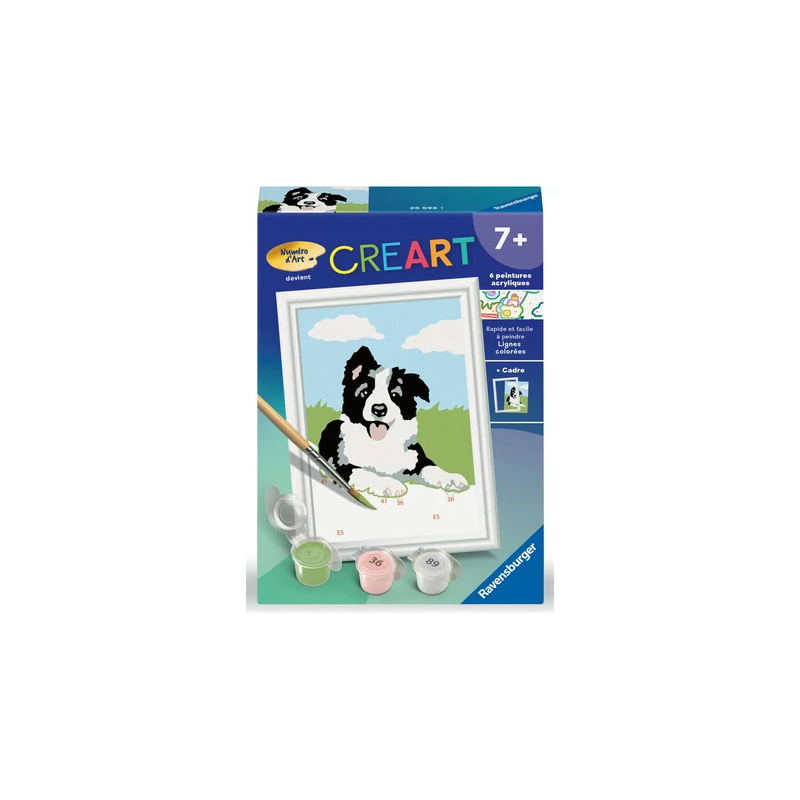 Ravensburger - Creart - Peinture au numéro - Border Collie - 8x12cm