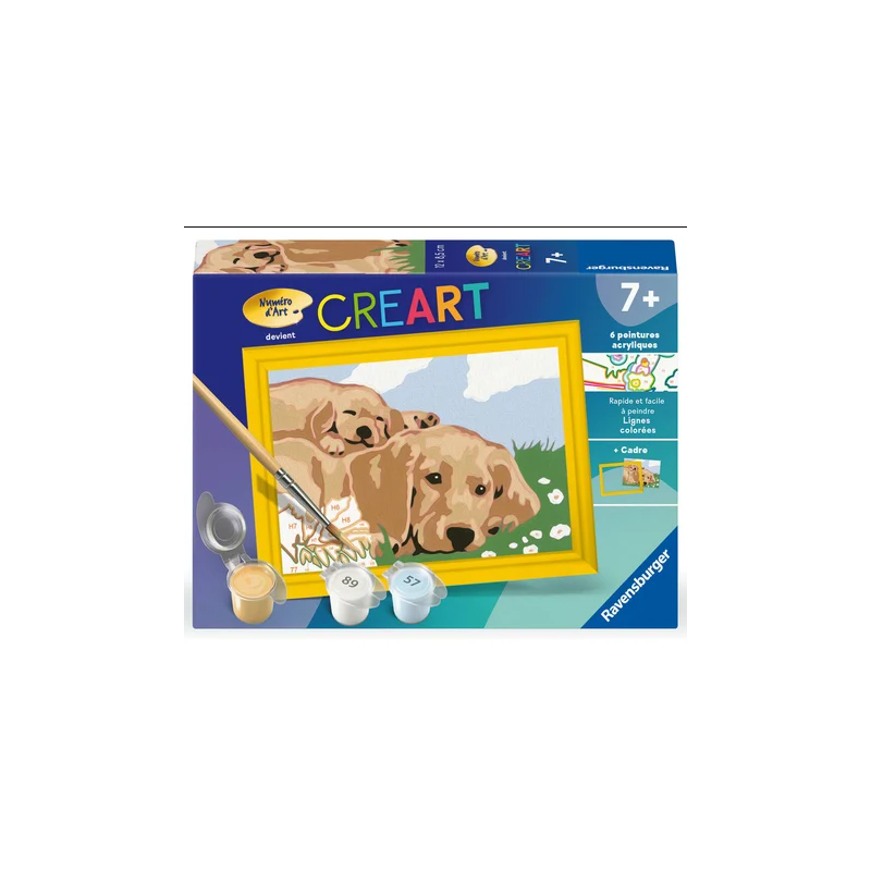 Ravensburger - Peinture par numéro - Labradors - 8.5x12cm
