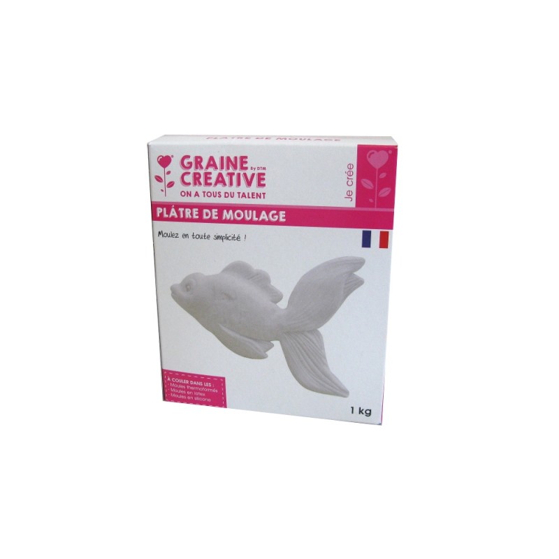 Graine créative - Sachet de 1 Kg de platre de moulage