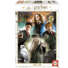 Educa - Puzzle 500 pièces - Harry Potter