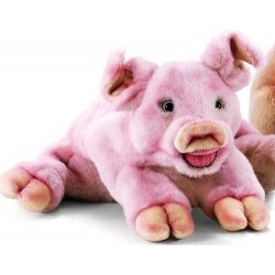 Anima - Peluche - Cochon -...