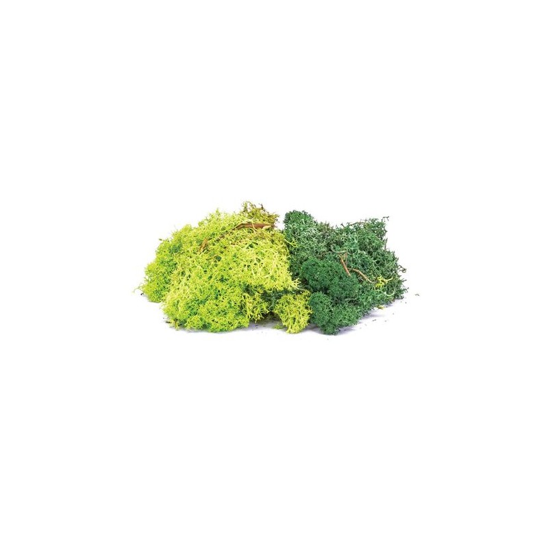 Hornby - Accessoire modélisme - Balast et flocage - Duo lichen vert et vert fonc2 35g