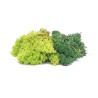 Hornby - Accessoire modélisme - Balast et flocage - Duo lichen vert et vert fonc2 35g