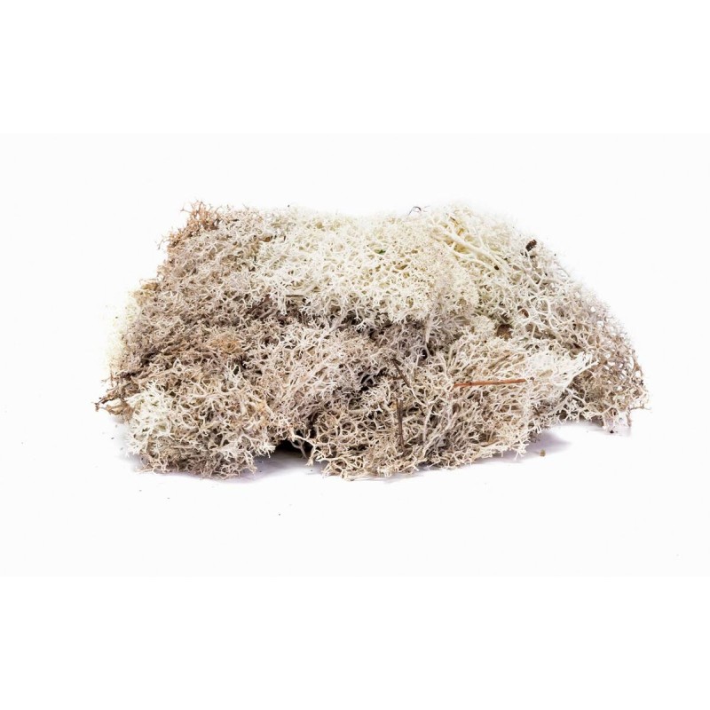 Hornby - Accessoire modélisme - Balast et flocage - Lichen gris pierre 35g