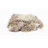 Hornby - Accessoire modélisme - Balast et flocage - Lichen gris pierre 35g