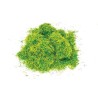 Hornby - Accessoire modélisme - Balast et flocage - Herbe coupée gazon ornemental 20g