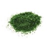 Hornby - Accessoire modélisme - Balast et flocage - Vert foncé 20g
