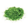 Hornby - Accessoire modélisme - Balast et flocage - Vert clair 20g