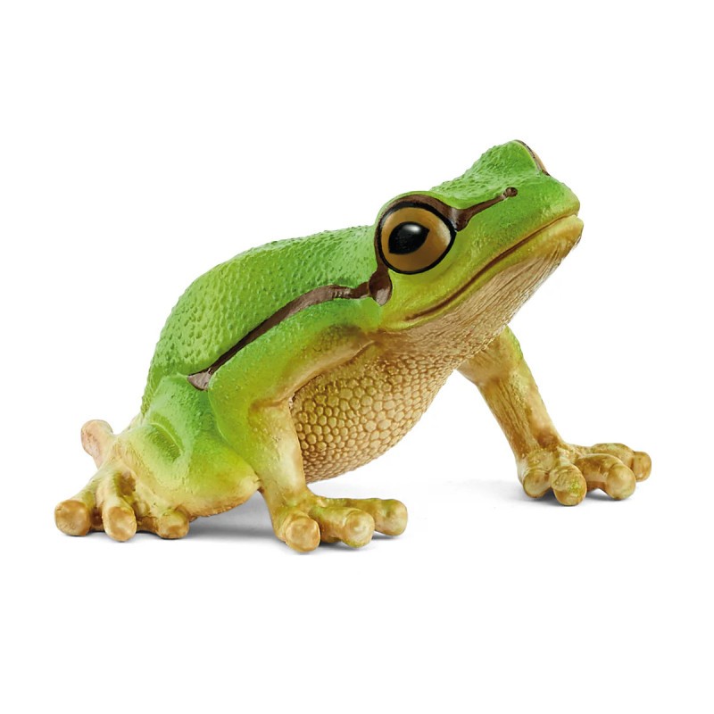Schleich - 14882 - Vie sauvage - Grenouille verte