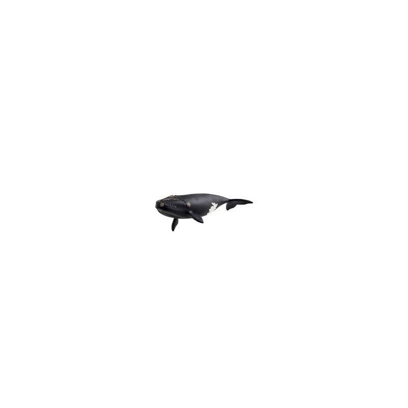 Schleich - 14878 - Animaux marins - Baleine de l'atlantique
