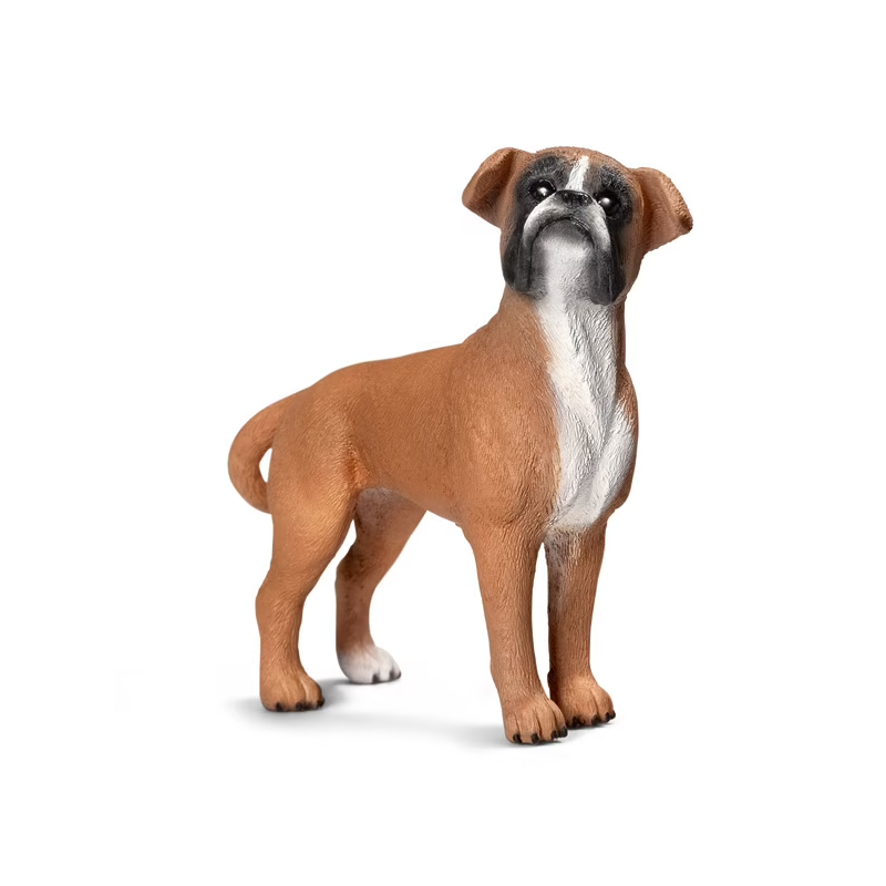 Schleich - 16390 - Figurine - Boxer - Femelle - COLLECTOR