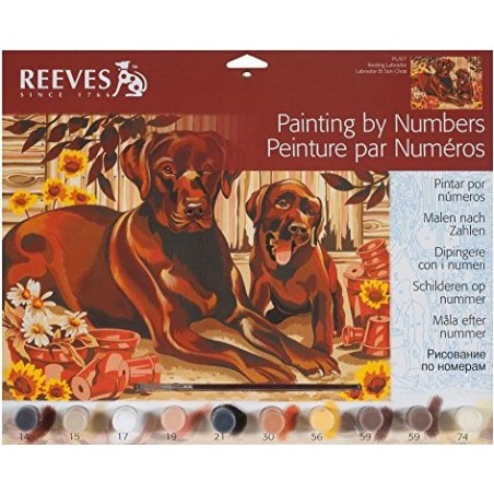 Reeves - Peinture par numéro - Labrador