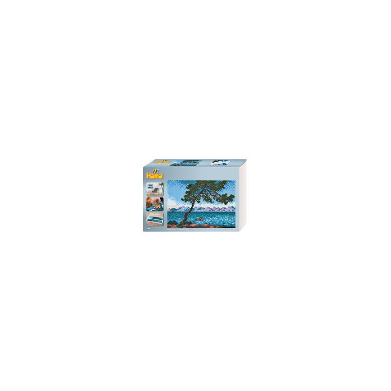 Hama - 3606 - Boite 10000 perles MIDI - Art Claude Monet