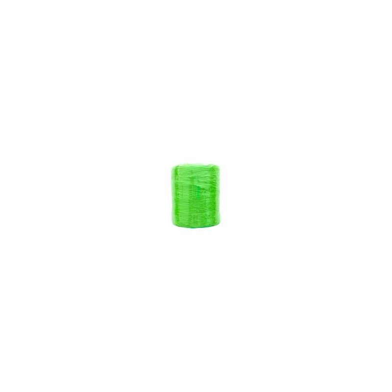 Bobine de raphia synthétique - 40g - Vert