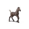 Schleich - 81460 - Poulain - Darcy