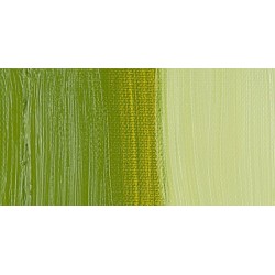 Huile étude - Vert anglais clair - 34 ML