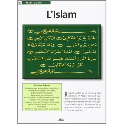 Aedis collection - Numéro 103 - L'Islam