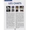 Aedis collection - Numéro 27 - Les chats