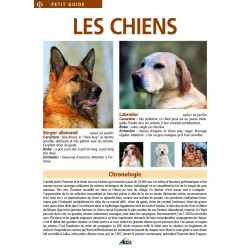 Aedis collection - Numéro 22 - Les chiens