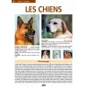 Aedis collection - Numéro 22 - Les chiens