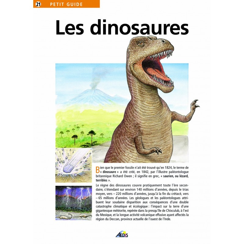 Aedis collection - Numéro 21 - Les dinosaures