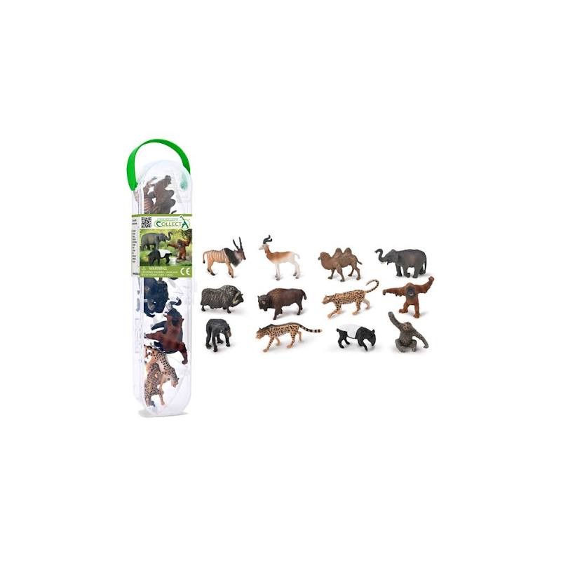 Collecta - Coffret de 12 mini figurines animaux sauvages