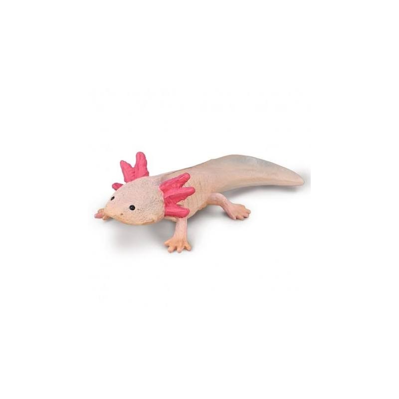 Collecta - Figurine - Axolotl