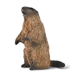 Collecta - Figurine - Marmotte