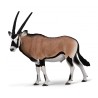 Collecta - Figurine - Oryx du Cap