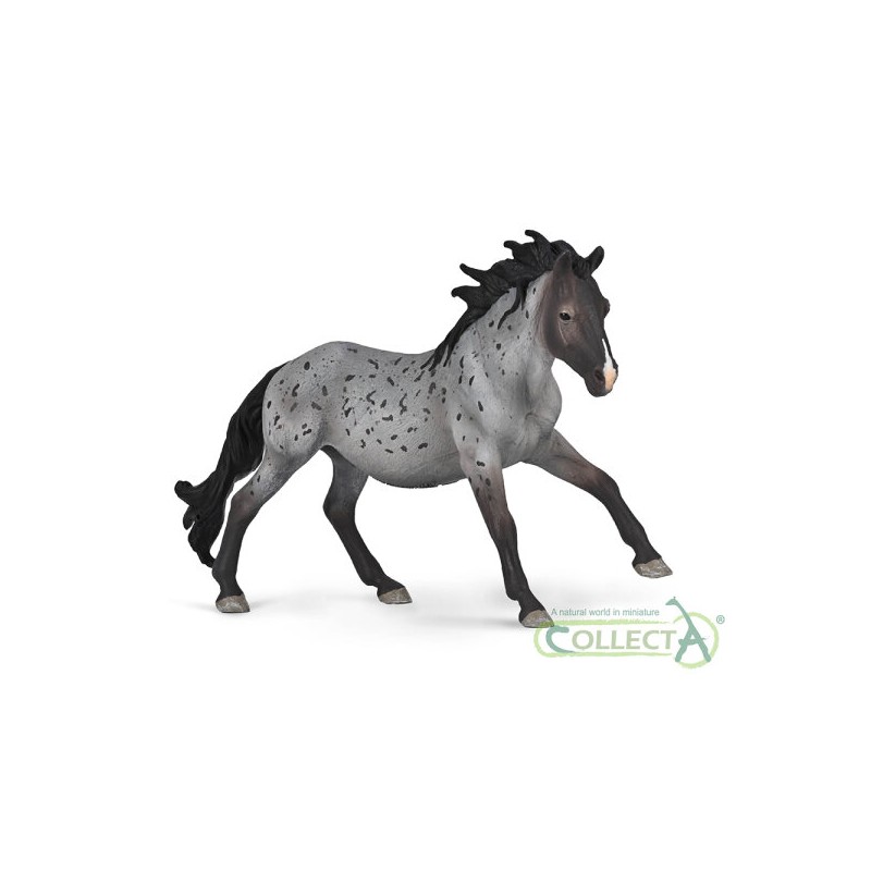 Collecta - Figurine - Etalon Nokota bleu roan